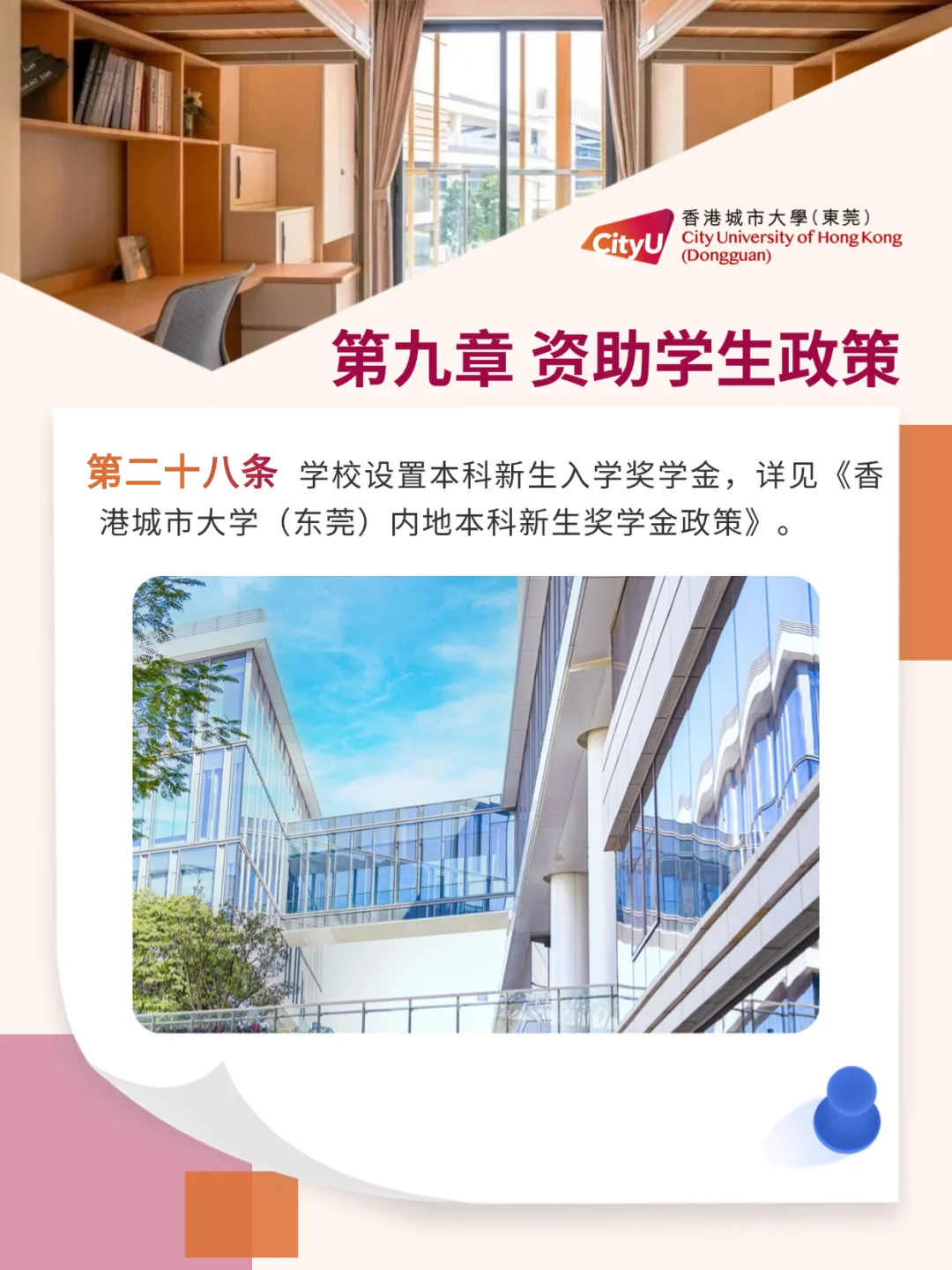 香港城市大学东莞招生政策